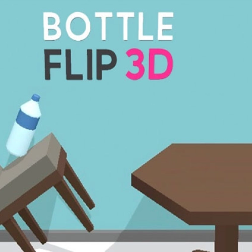 Bottle Flip 3d